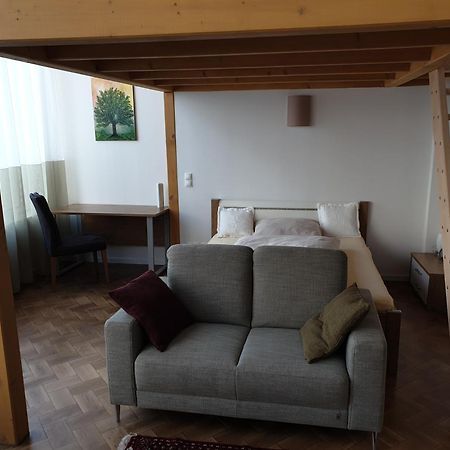 Ferienwohnung Unterhalb Der Heidecksburg Рудолщат Екстериор снимка